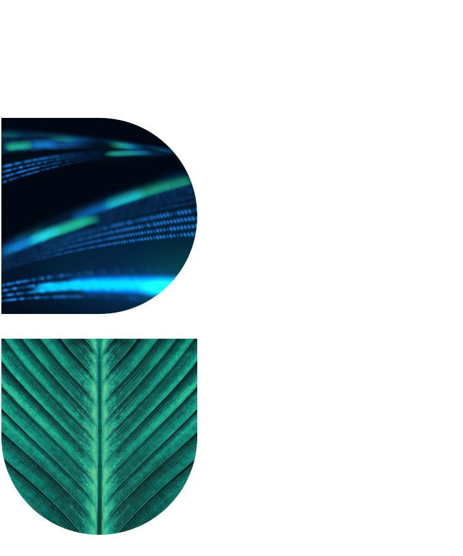 Ignition_hero_ data-vault-training-min.png-1